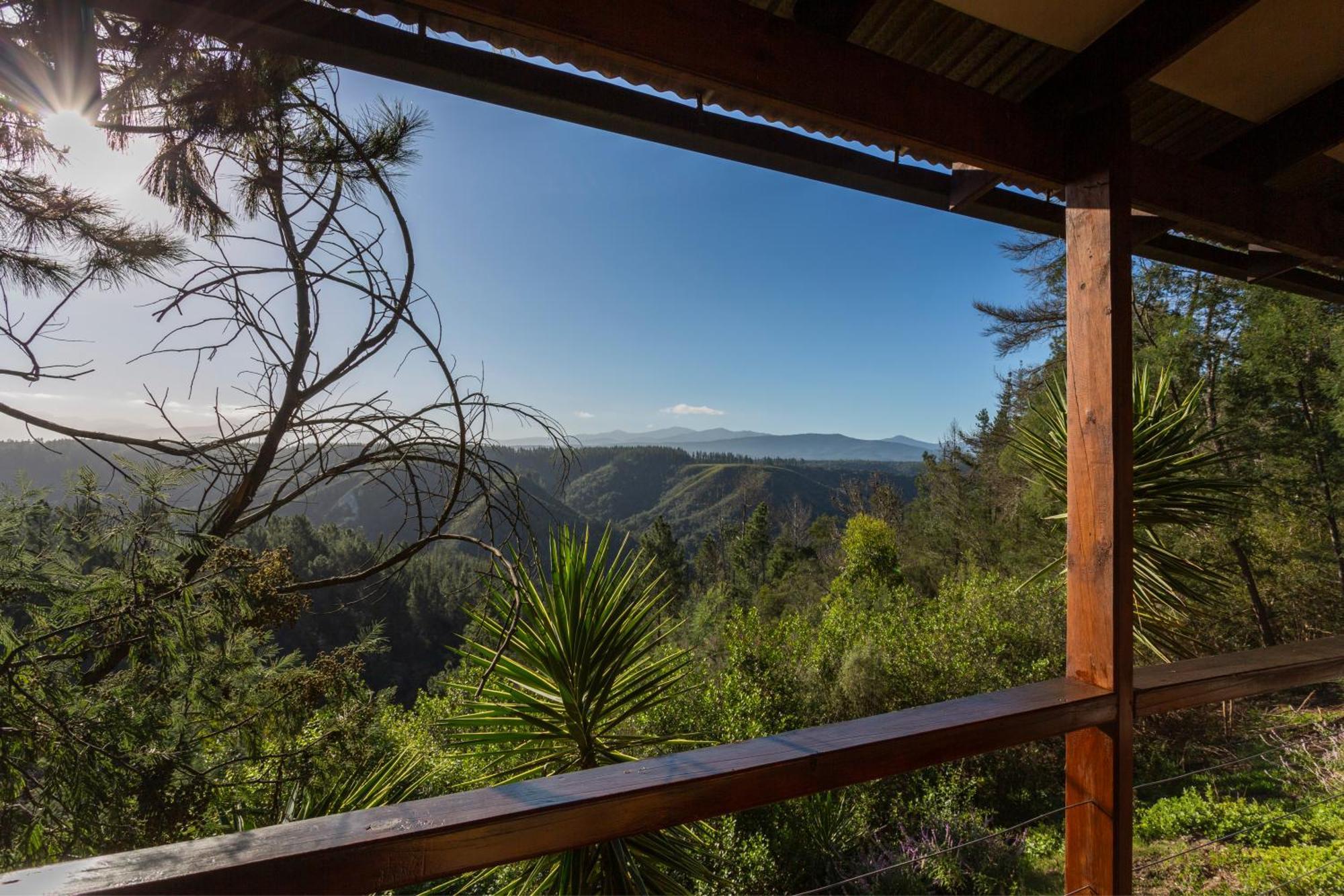 Forest Valley Cottages Knysna Ngoại thất bức ảnh